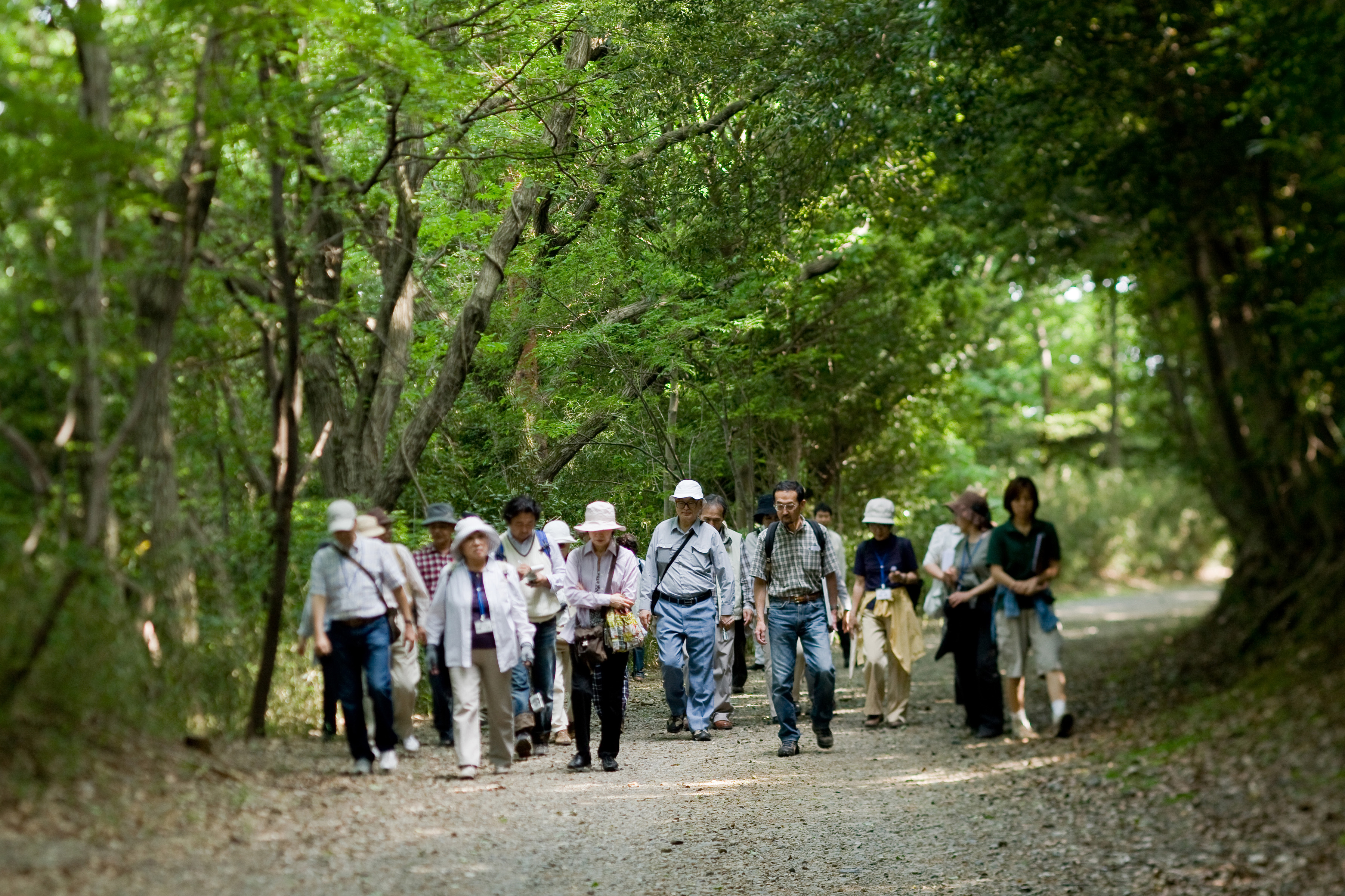 Fotografia da Natureza