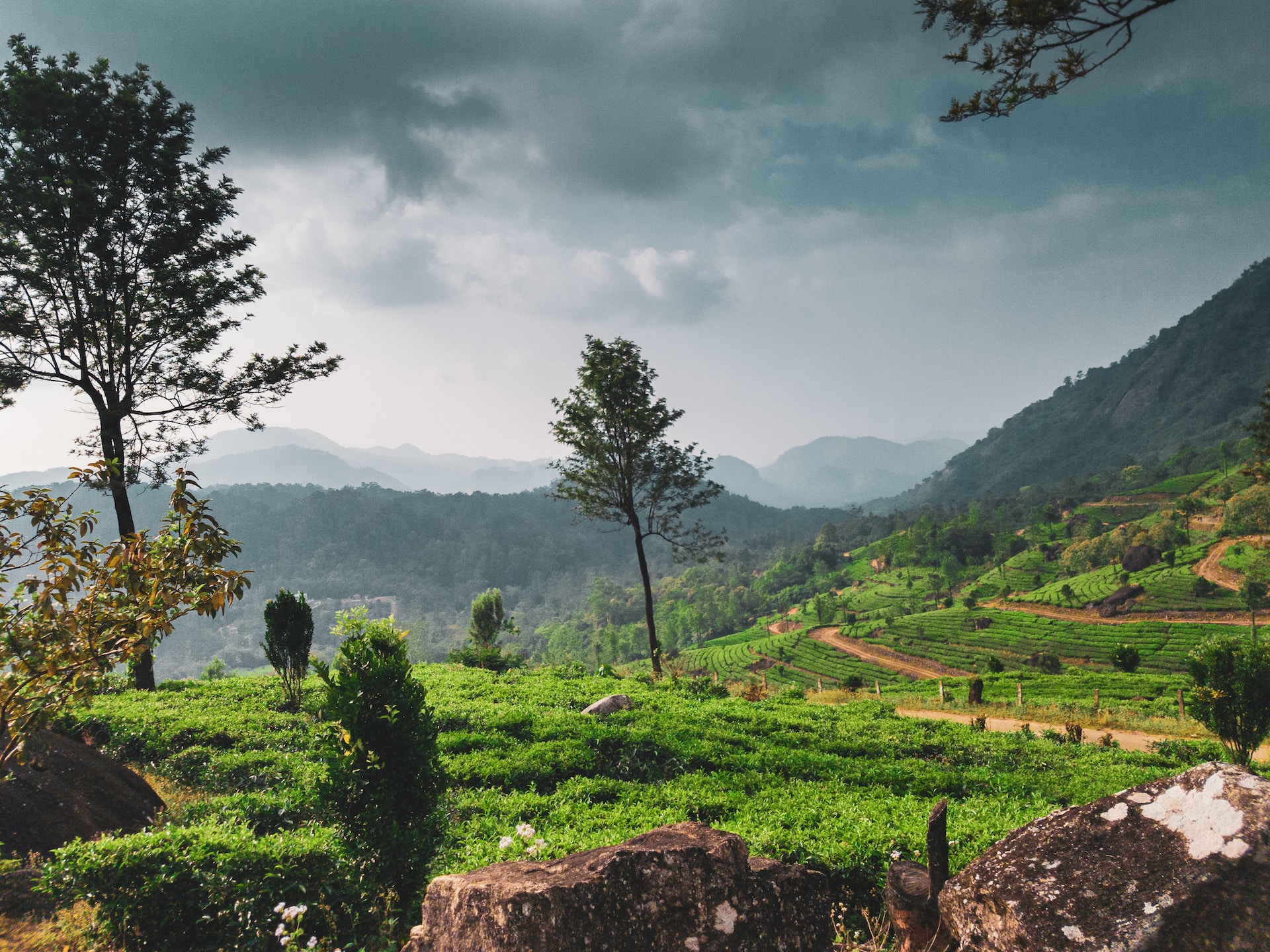 Programas Educativos