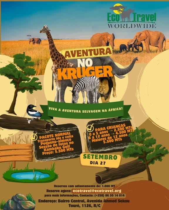 Trilhas e Caminhadas